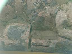 acastle 166300.jpg